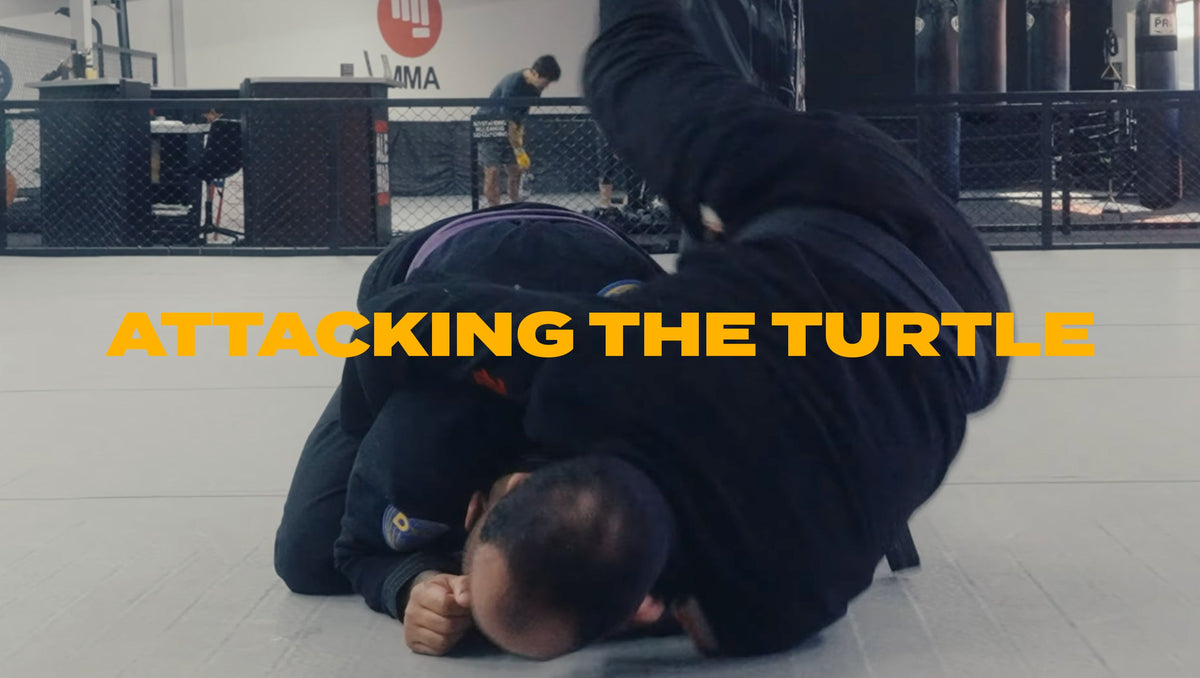 Attacking the turtle and taking the back